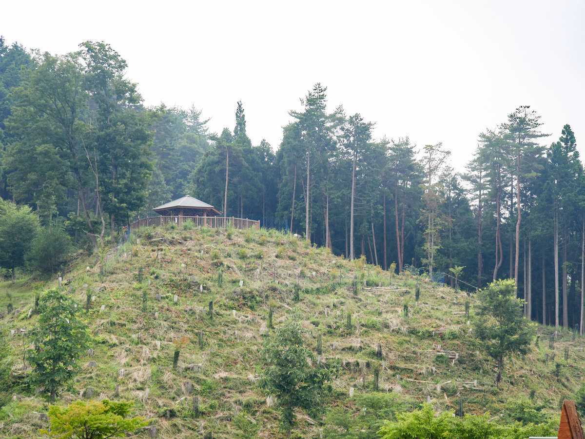 Surroundings・Views