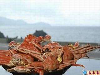 雄大な日本海を眺めながら最高級の味覚を!