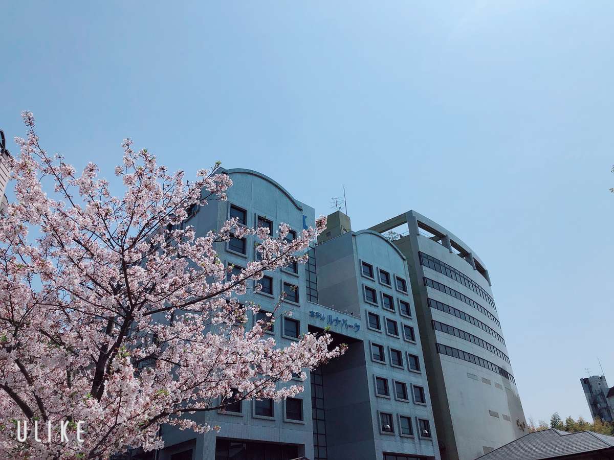 当館と桜のコラボ♪