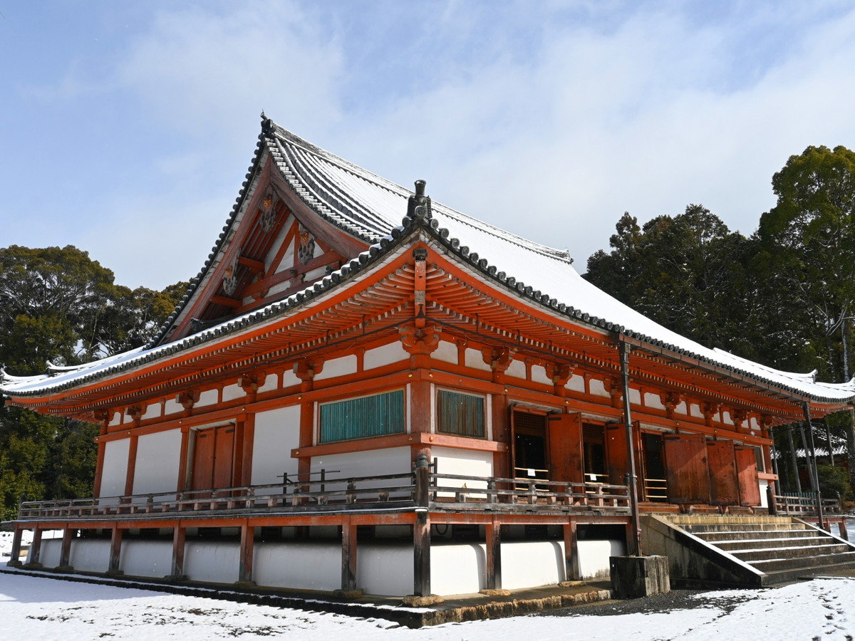 環境・風景