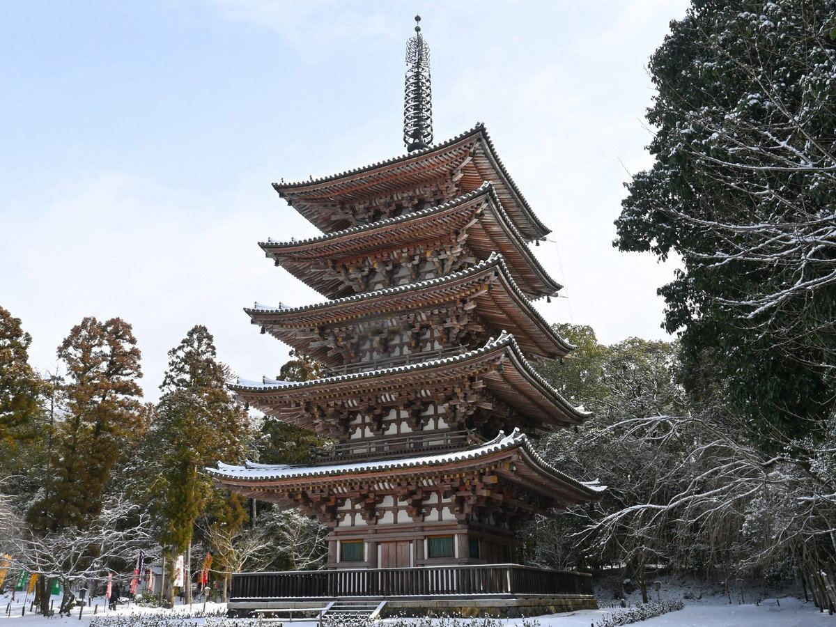 環境・風景