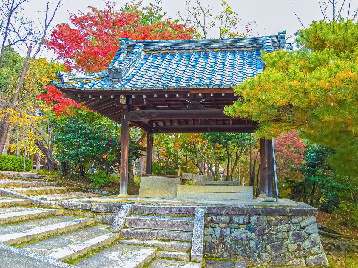 環境・風景