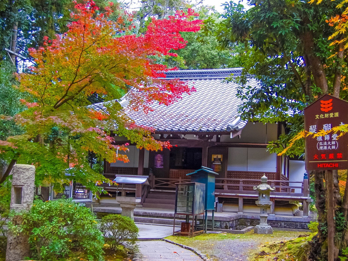 環境・風景