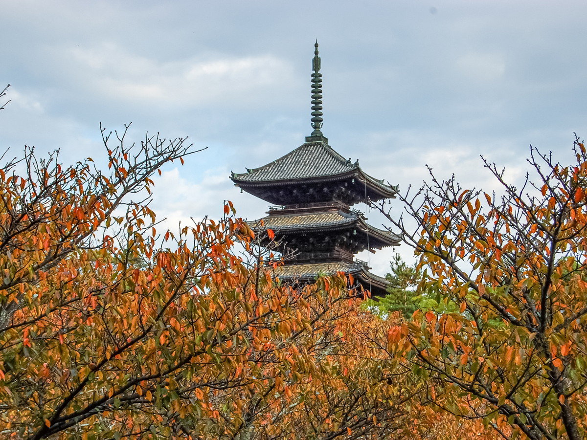 環境・風景