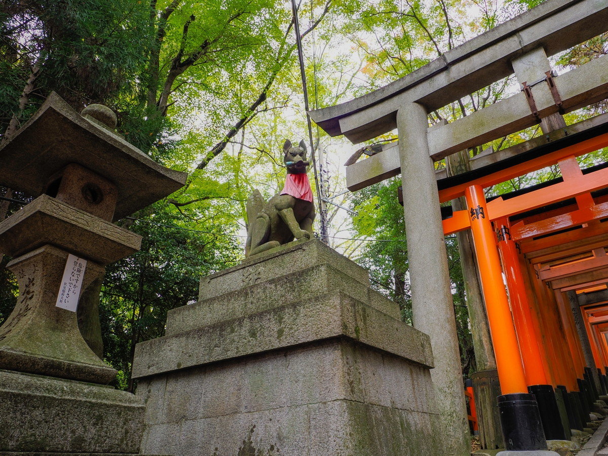 環境・風景