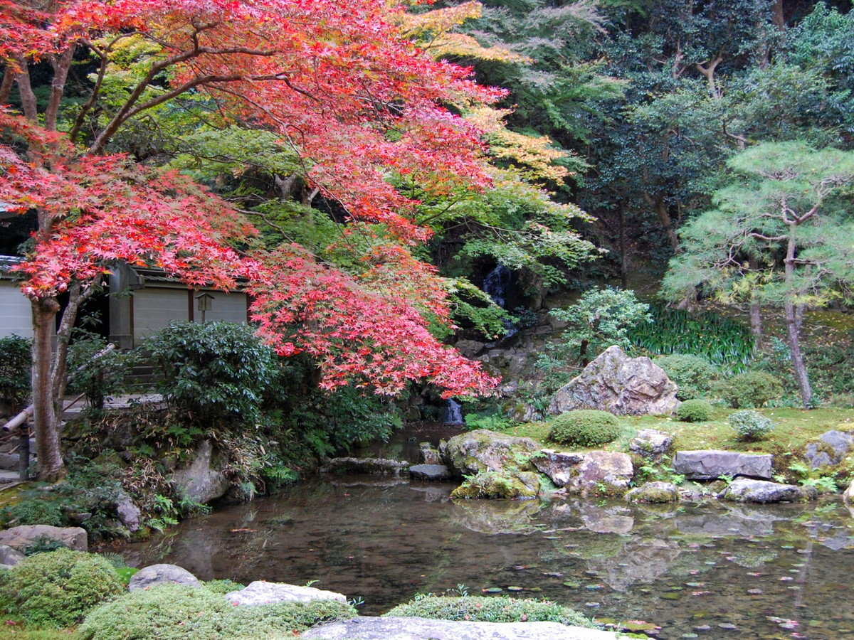 環境・風景