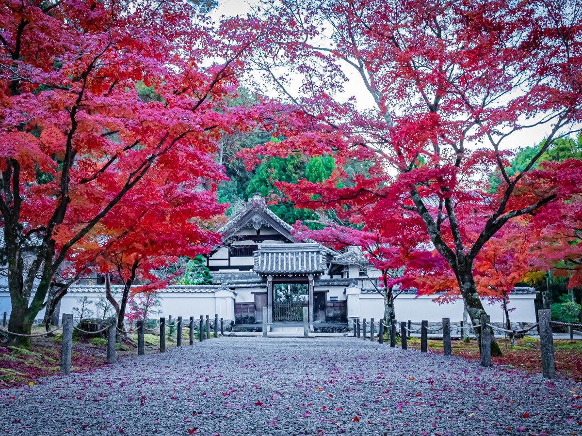 環境・風景