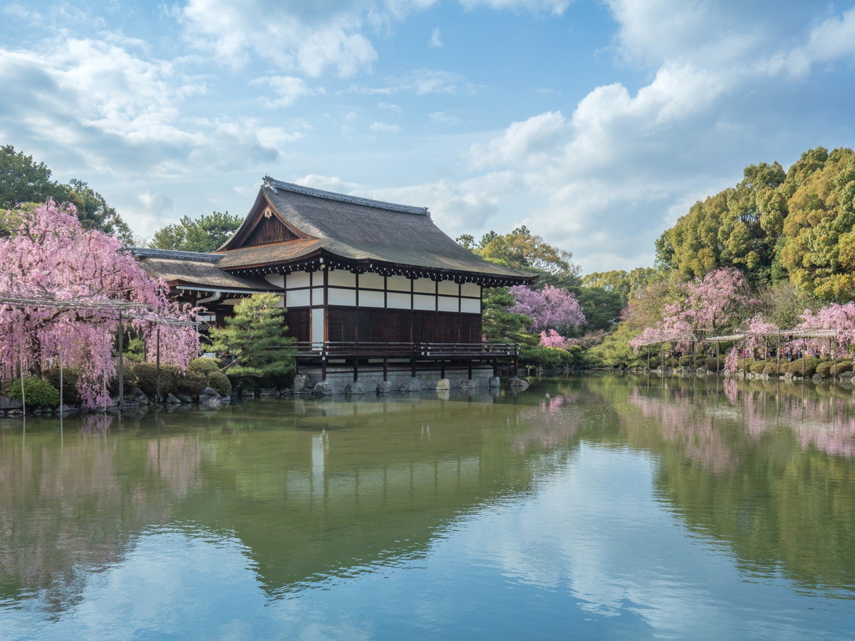 環境・風景