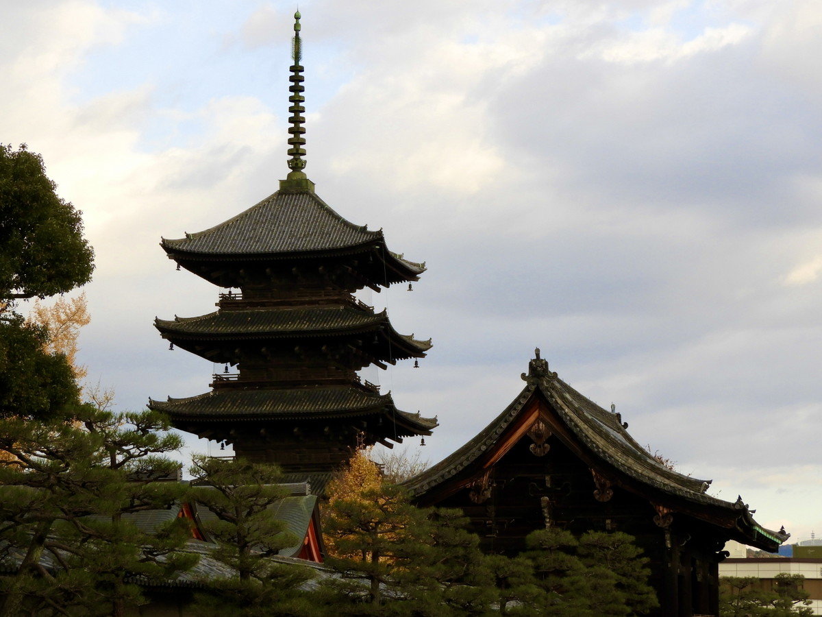 環境・風景