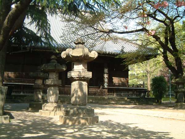 Surroundings・Views