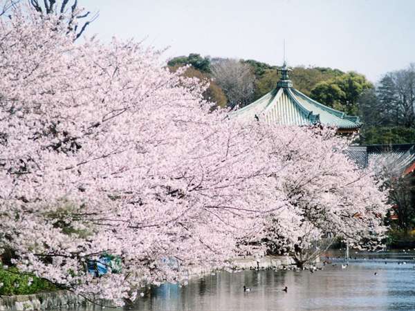 Surroundings・Views