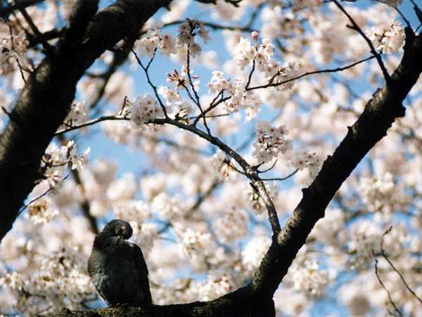 Surroundings・Views