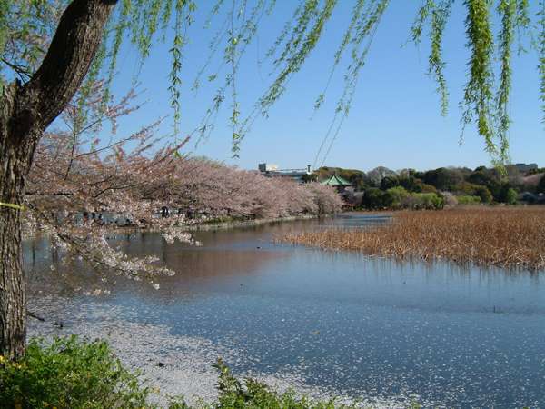 Surroundings・Views