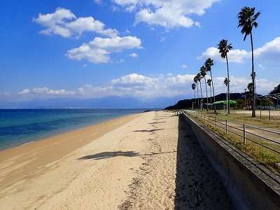 当館より車で約5分【桜井海岸】夏は海水浴で賑わいます