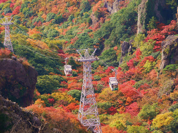 【寒霞渓ロープウェー】紅葉シーズンは山全体が秋色に♪