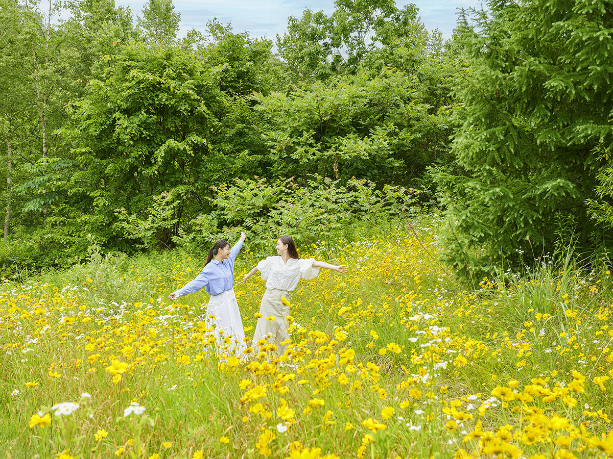 Surroundings・Views