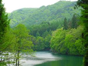 新緑がまぶしい青木湖の初夏