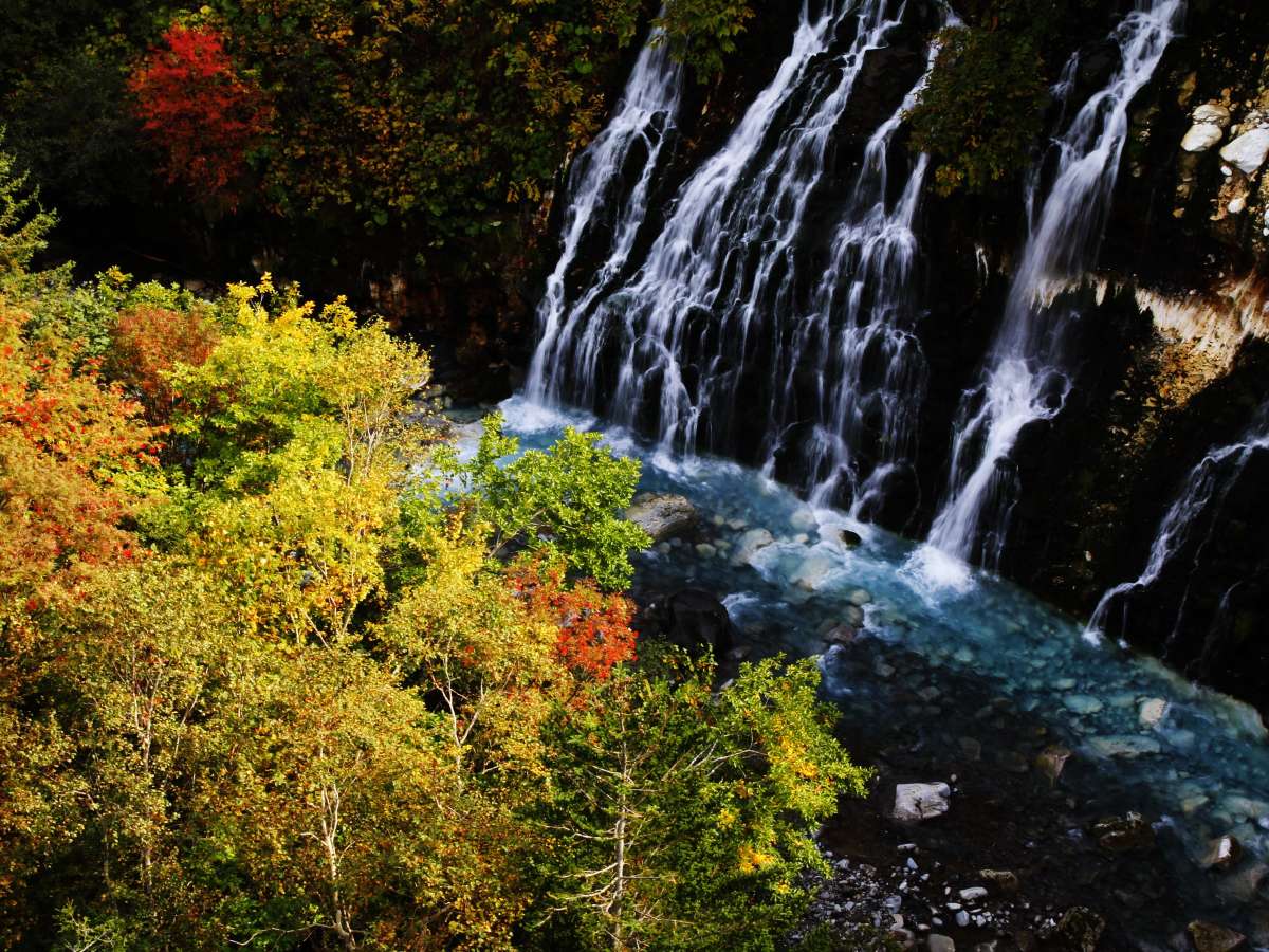 ◆白ひげの滝◆秋の白ひげの滝[徒歩にて約3分]