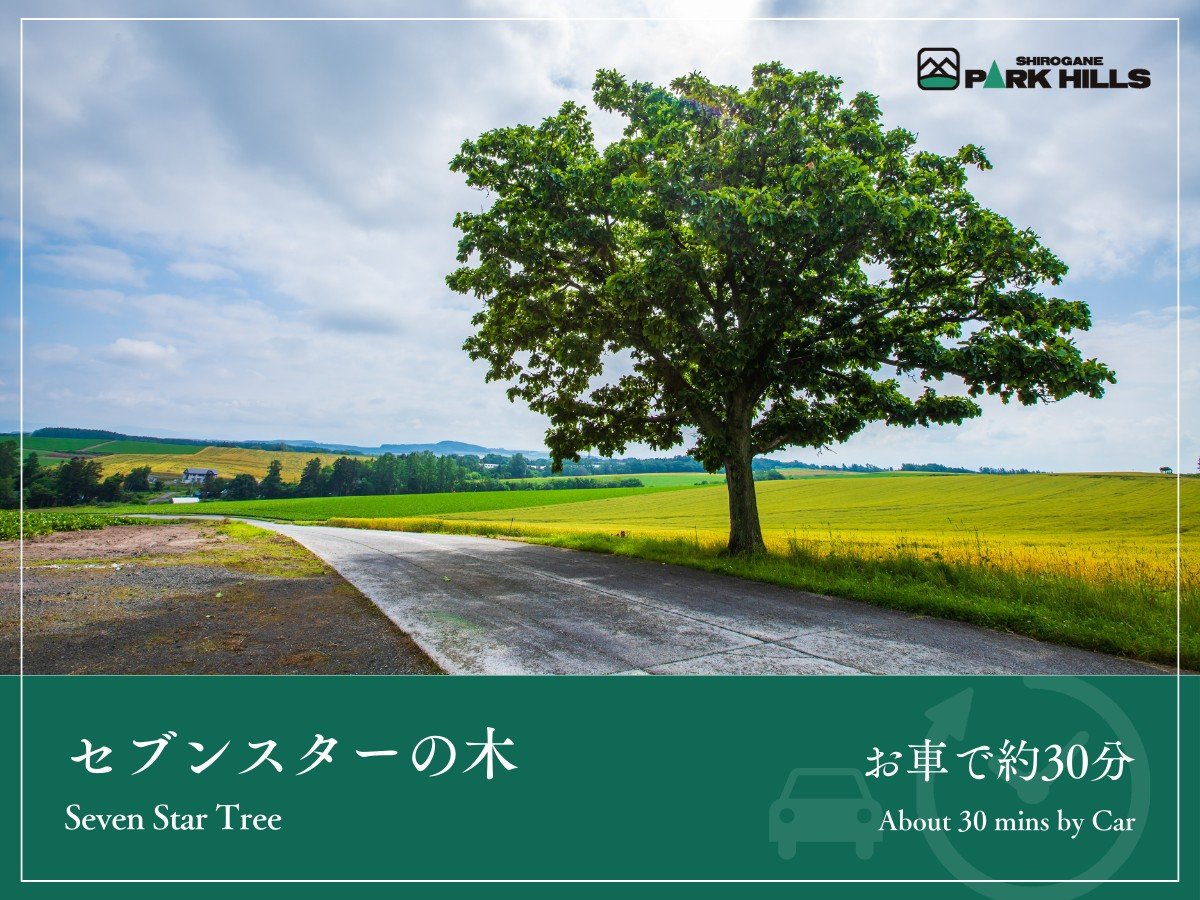 Surroundings・Views