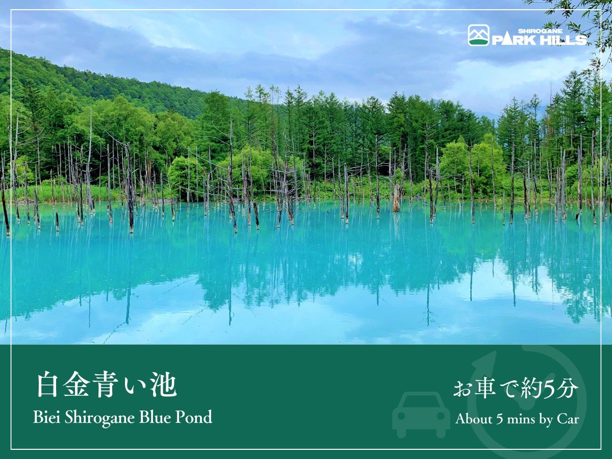 Surroundings・Views