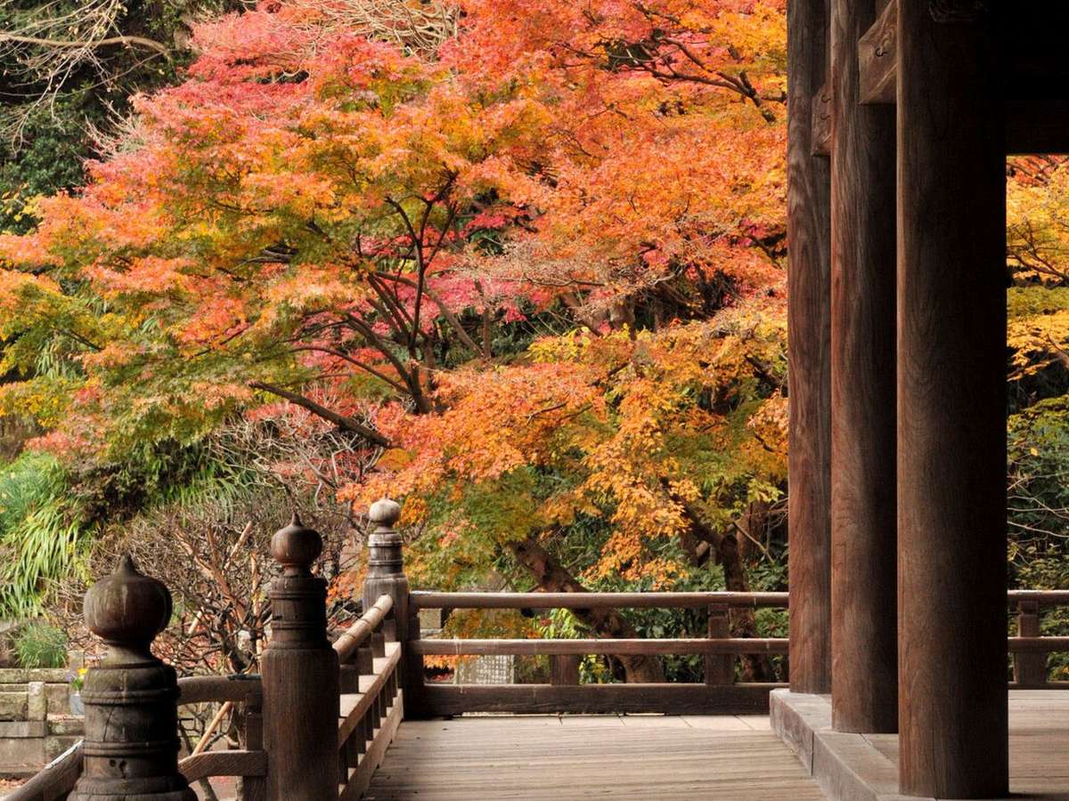 ！鎌倉の秋※写真提供：鎌倉市観光協会