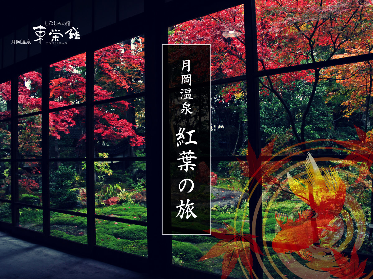 #紅葉