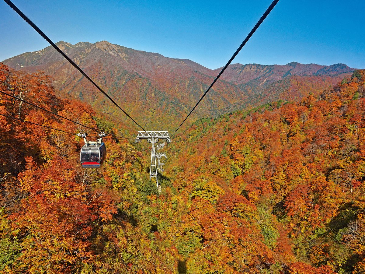 秋の谷川岳ロープウェイ