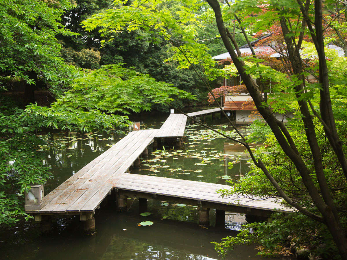 【日本庭園】松泉湖に架かる桟橋で散策お楽しみ下さい