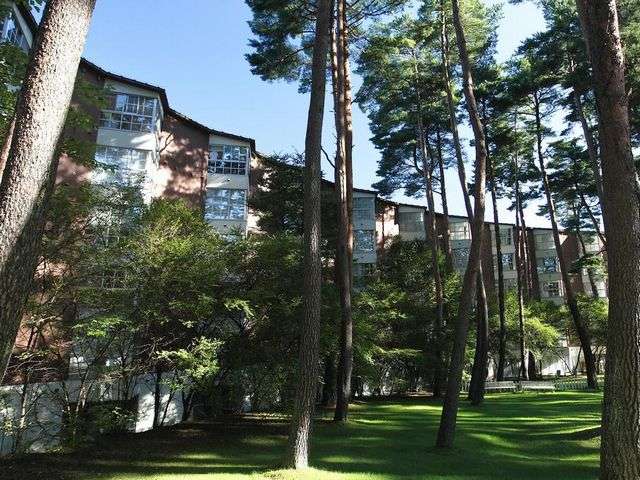 �y�O�ρz�X�|���V�I���^�ԏ��̍��؂Ɉ͂܂�A�Â��Ɏ��R�������܂����C���[�W