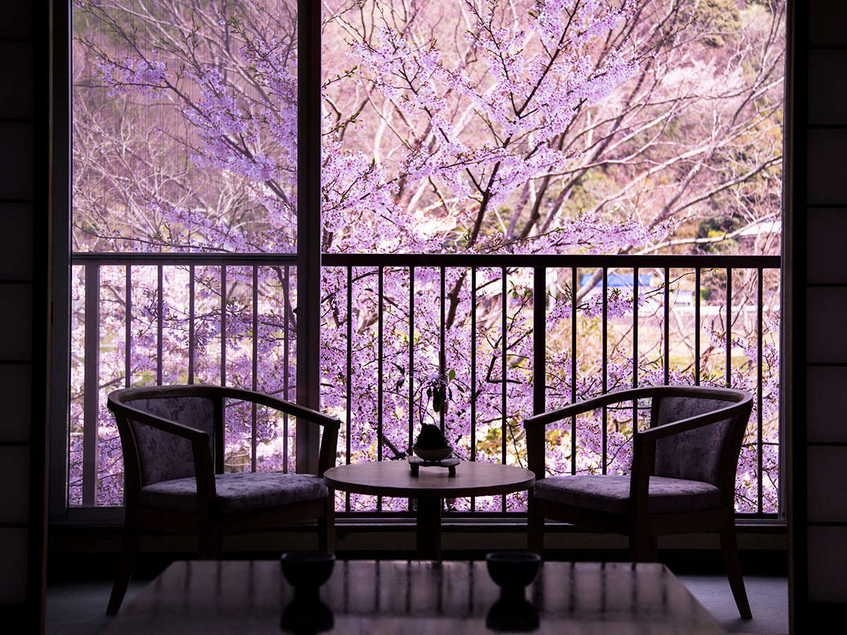【客室からの眺め】春には、川辺に咲きほこる桜に心癒されて･･･