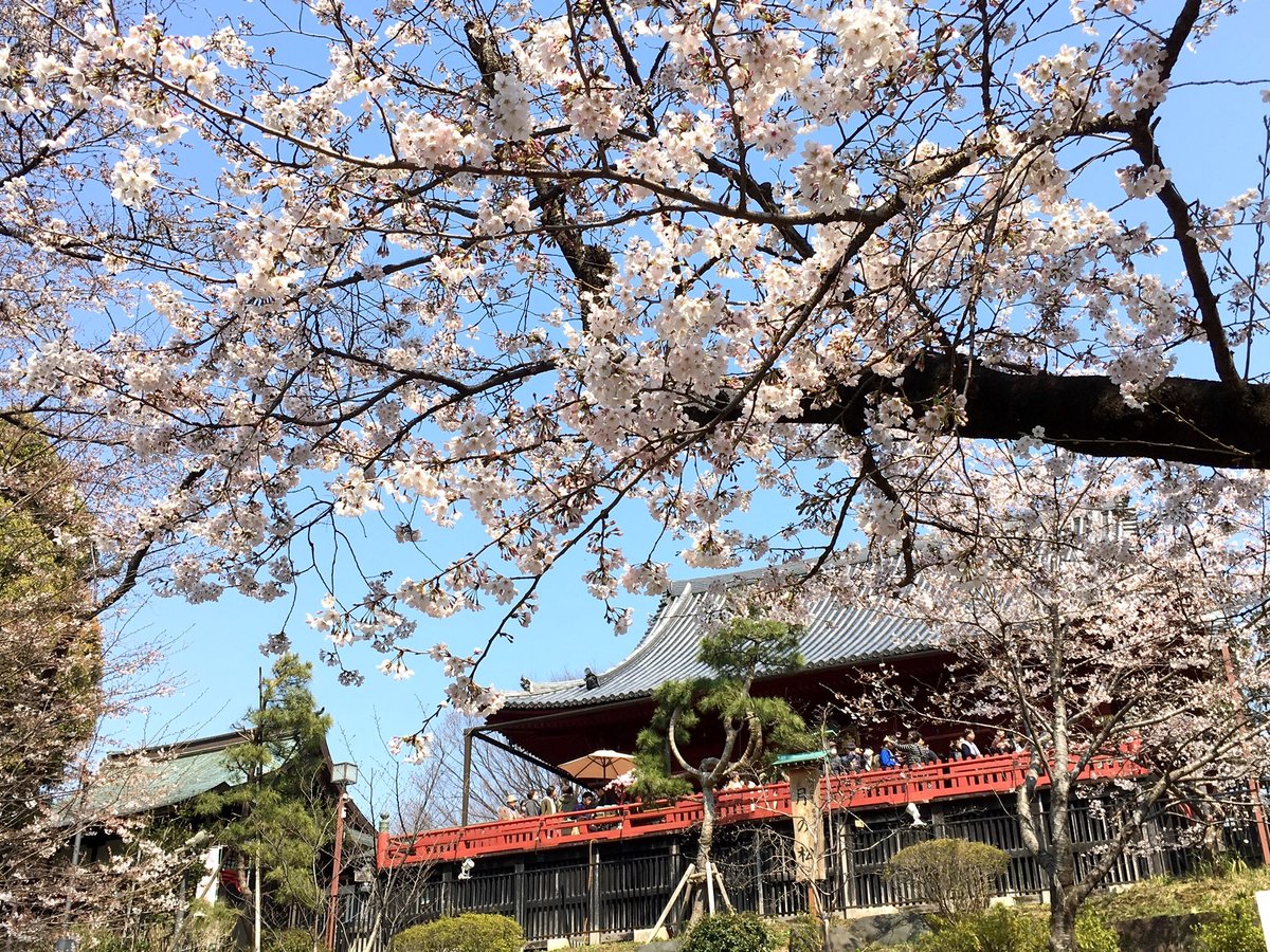 Surroundings・Views
