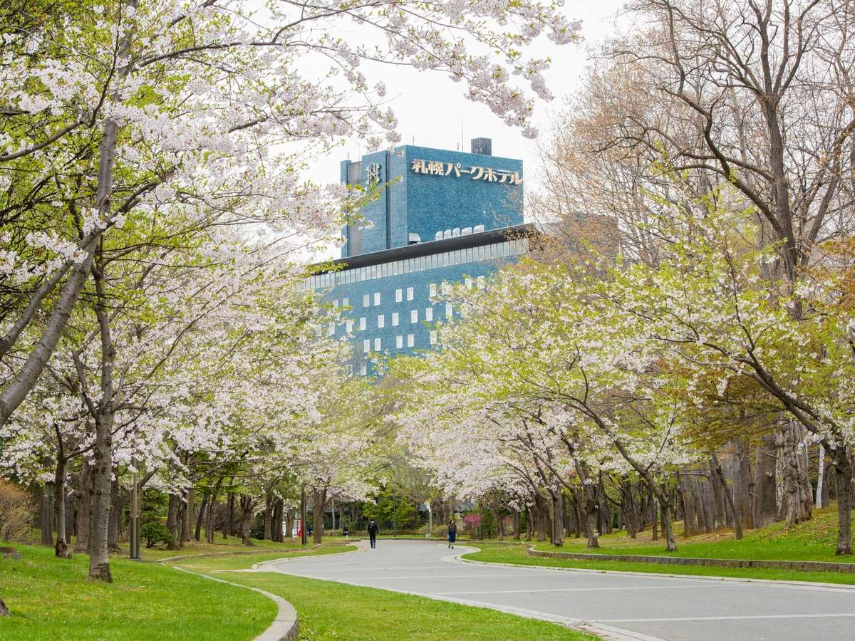 春は、ホテル隣接の中島公園を散策してリフレッシュ出来ます！
