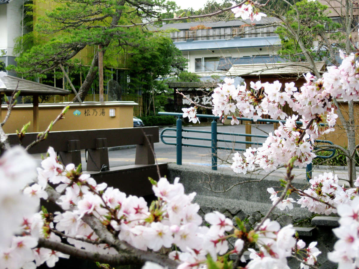 주변・경관