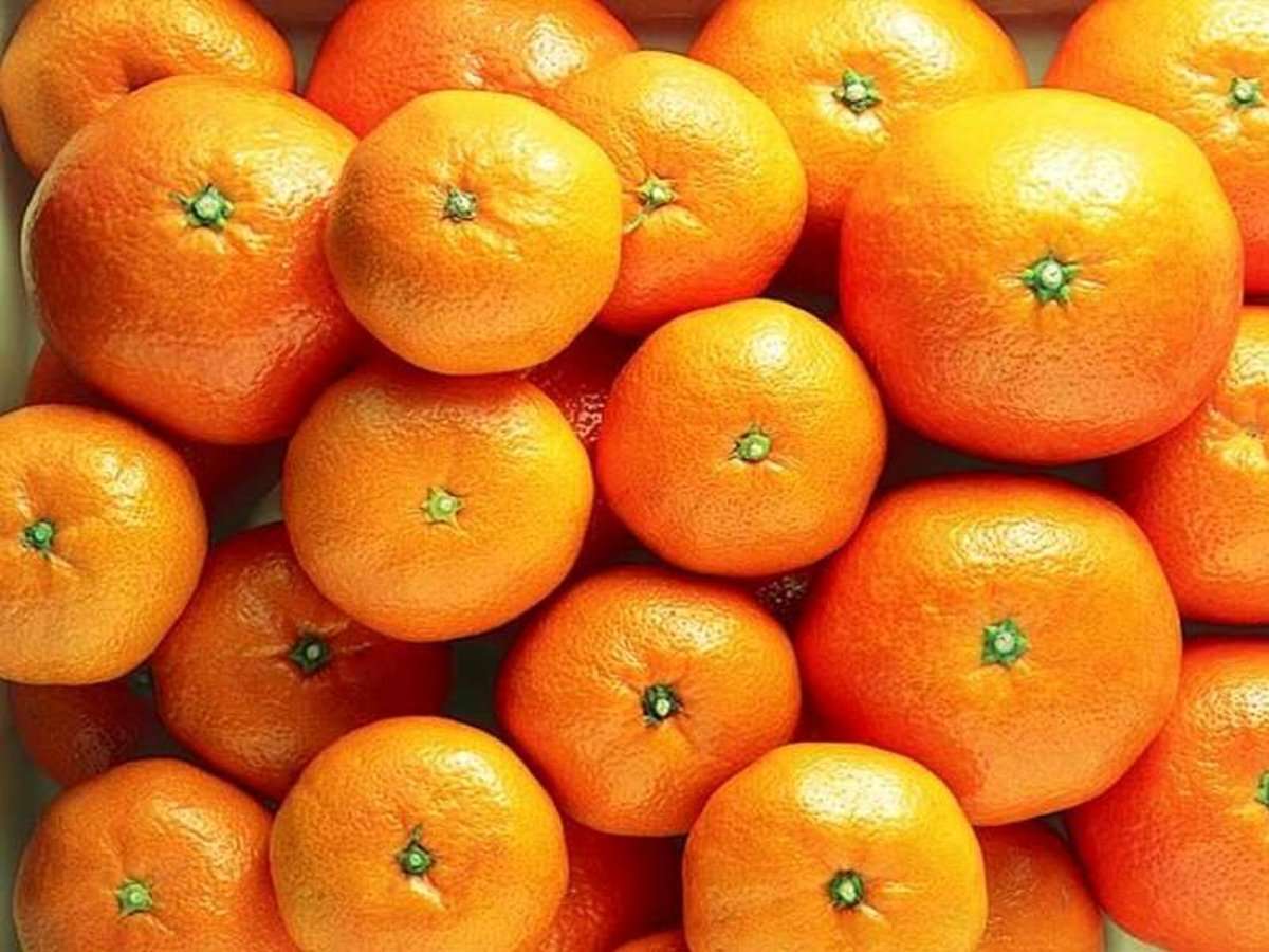 Апельсин новые слова. Zniber мандарины Страна. Знибер мандарины Страна производитель. 35 Много мандарин. Моркот фрукт.