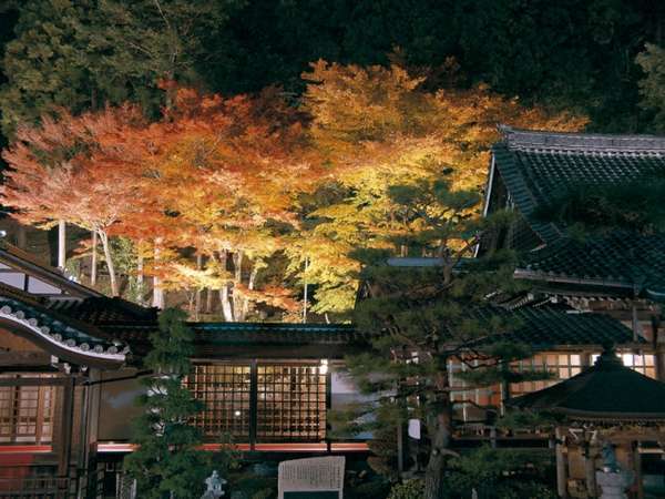 下呂温泉の高台に建つ「温泉寺」では、秋になると紅葉ライトアップされます