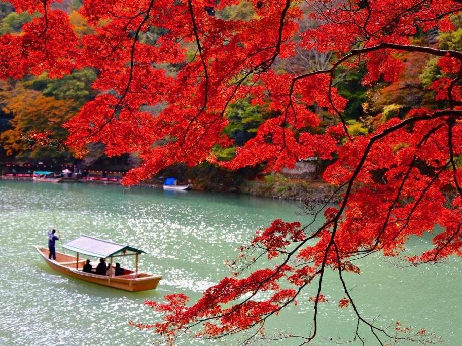 環境・風景