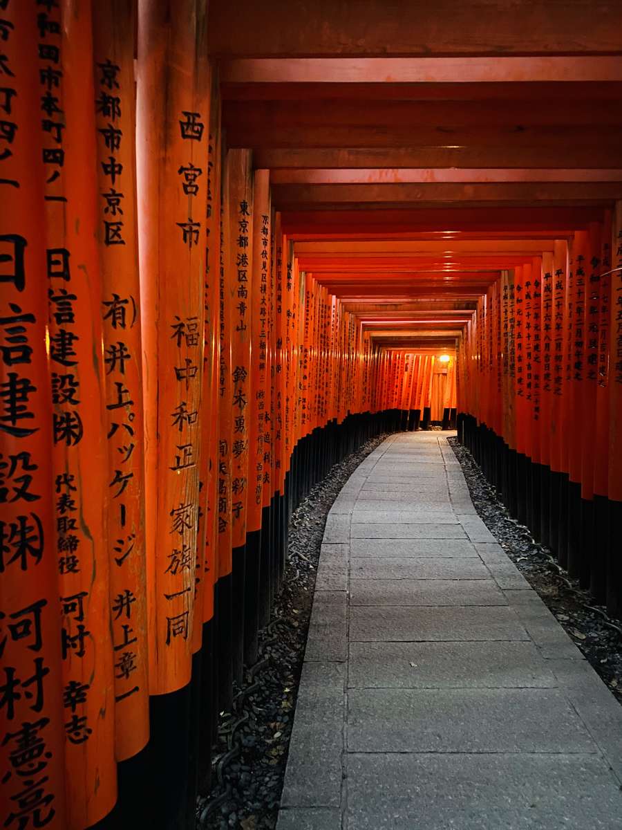 環境・風景