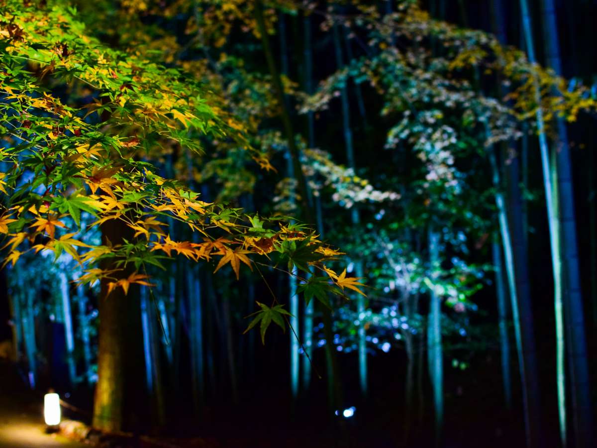 環境・風景