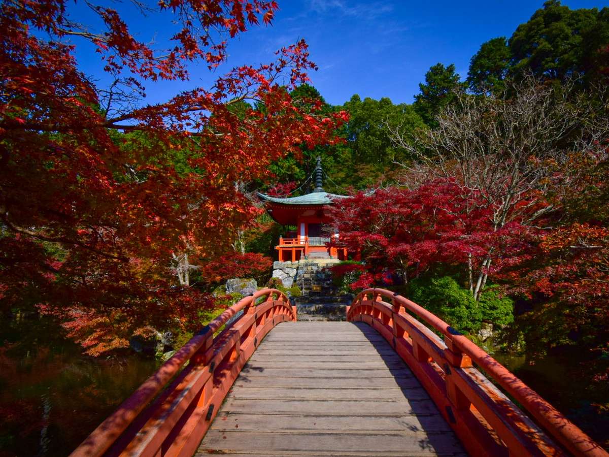 環境・風景