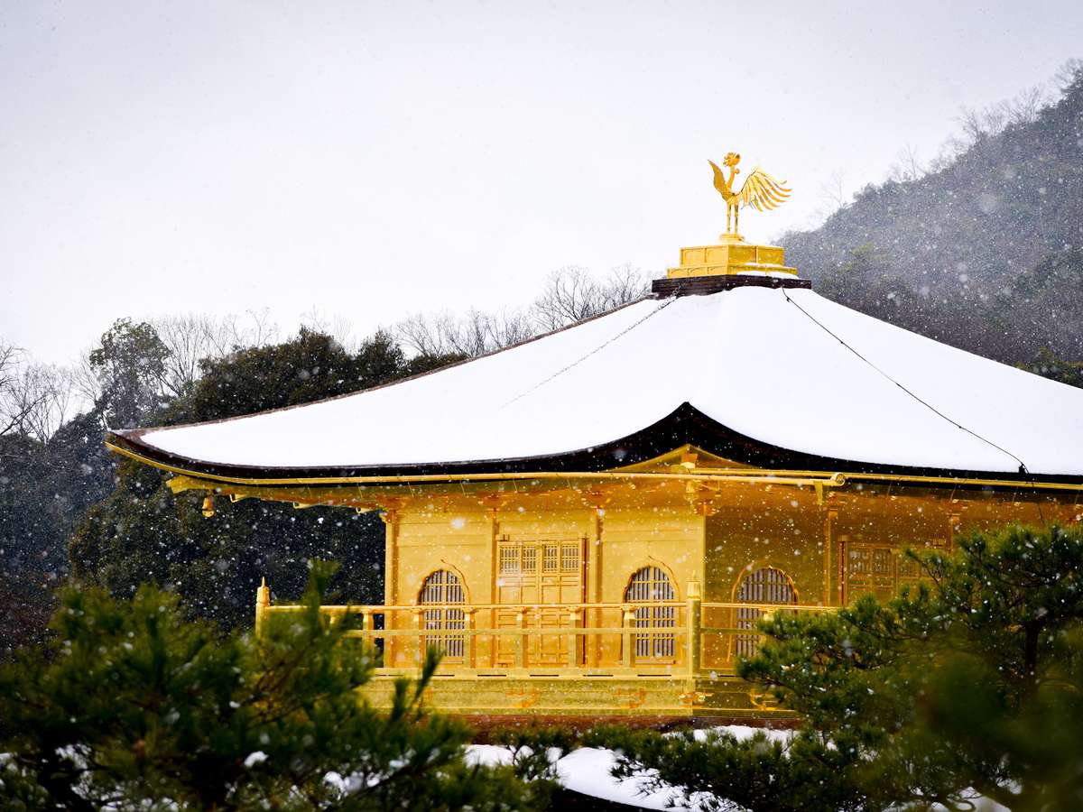 環境・風景