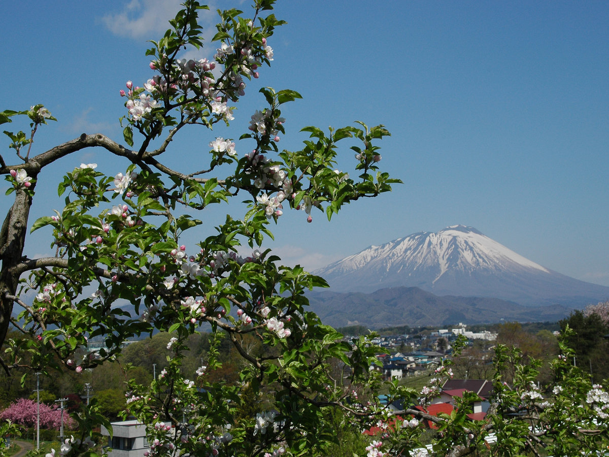 Surroundings・Views