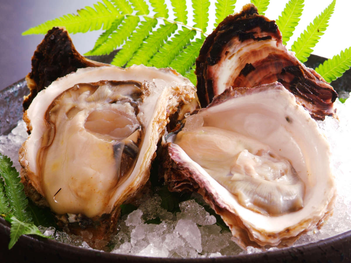5月からの初夏に旬を迎える岩牡蠣。当館の岩牡蠣は大きく濃厚な味わいをご堪能頂けます。