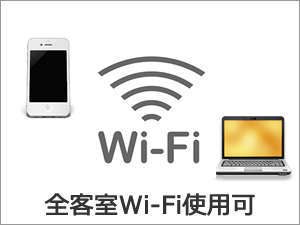 Sqɂ[Wi-Fi]pɂȂ܂B