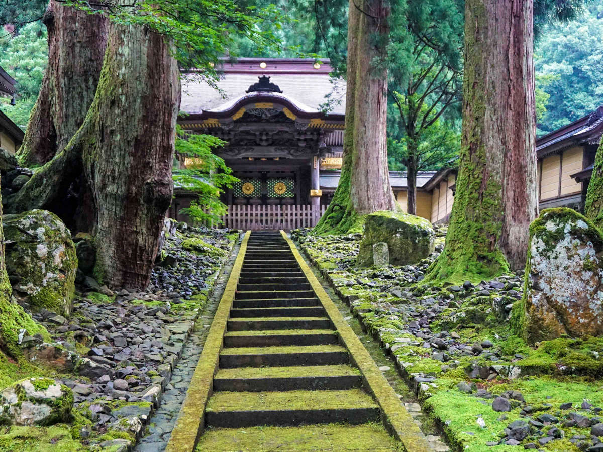 Surroundings・Views