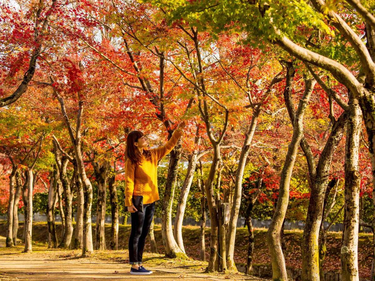 Surroundings・Views