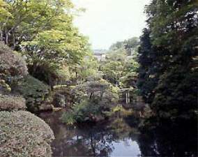 Surroundings・Views