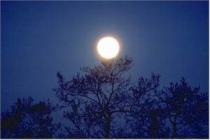 Surroundings・Views