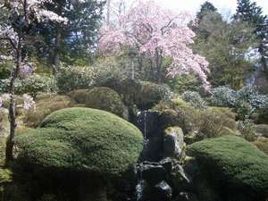 Surroundings・Views