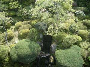 Surroundings・Views