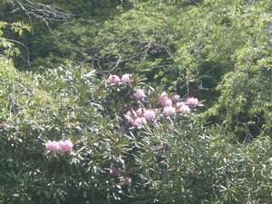 Surroundings・Views